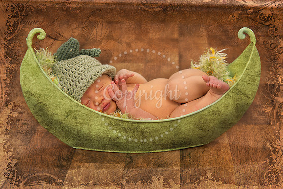 NewbornPhotographyMinocqua23