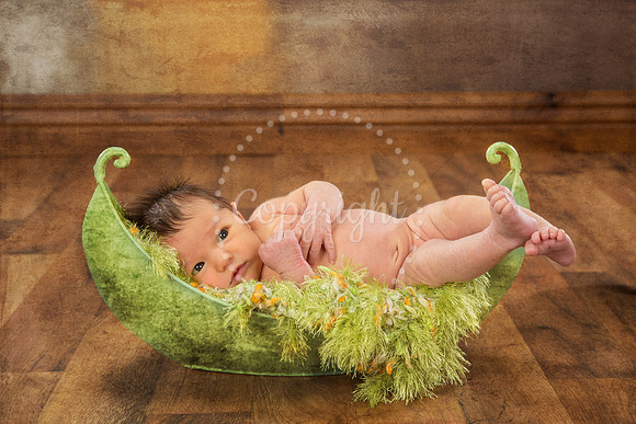 NewbornPhotographyMinocqua25