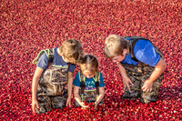 100123 FALL  Cranberry Kids MWW  8RAW