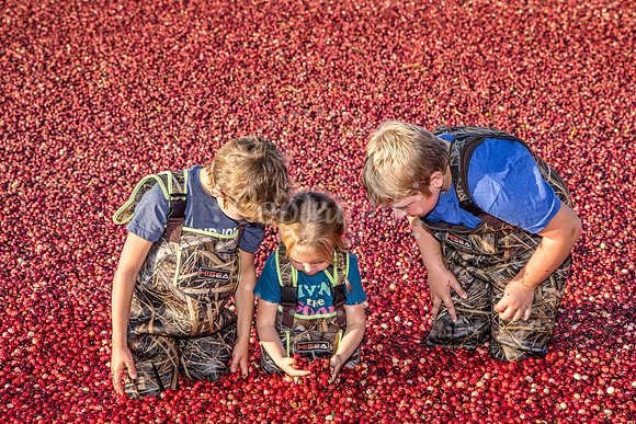 100123 FALL  Cranberry Kids MWW  8RAW