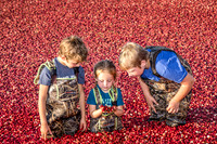 100123 FALL  Cranberry Kids MWW  9RAW