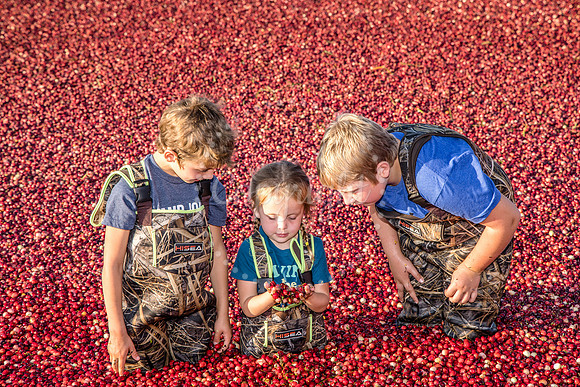 100123 FALL  Cranberry Kids MWW  9RAW