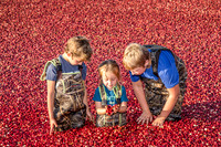 100123 FALL  Cranberry Kids MWW  10RAW