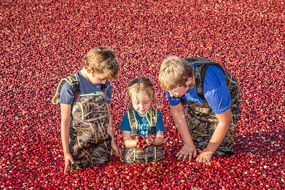 100123 FALL  Cranberry Kids MWW  10RAW