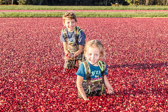100123 FALL  Cranberry Kids MWW  15RAW