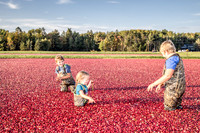 100123 FALL  Cranberry Kids MWW  14RAW