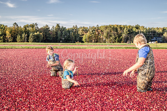 100123 FALL  Cranberry Kids MWW  14RAW