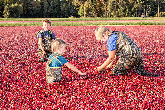 100123 FALL  Cranberry Kids MWW  18RAW