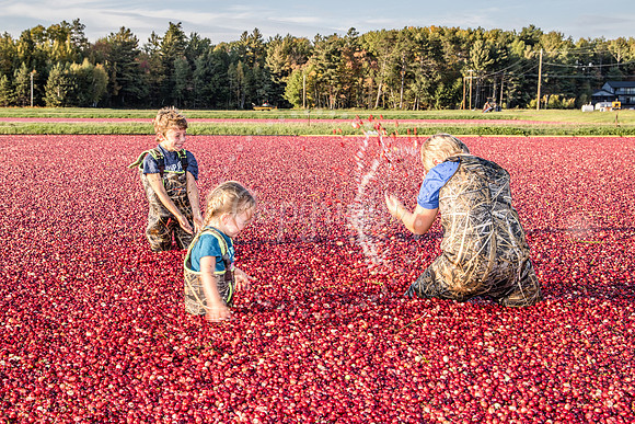 100123 FALL  Cranberry Kids MWW  17RAW