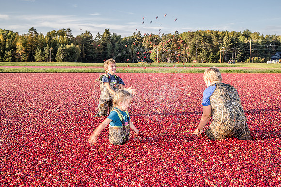 100123 FALL  Cranberry Kids MWW  16RAW
