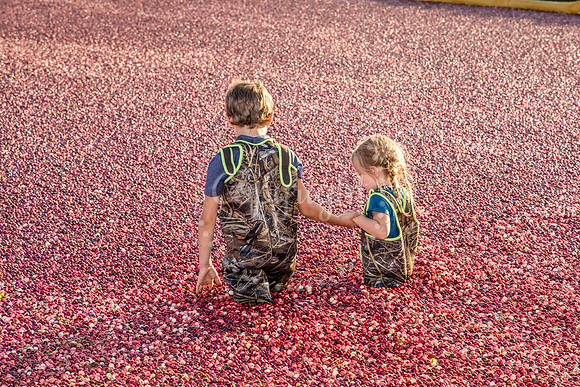 100123 FALL  Cranberry Kids MWW  19RAW