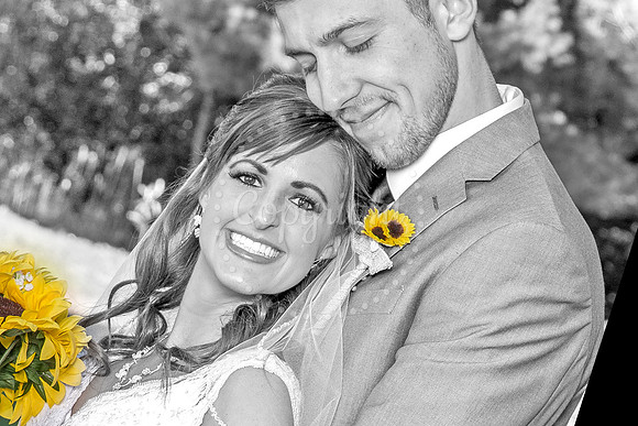 Wedding Photography