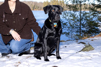Dog10