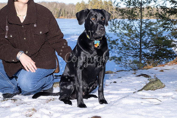 Dog10