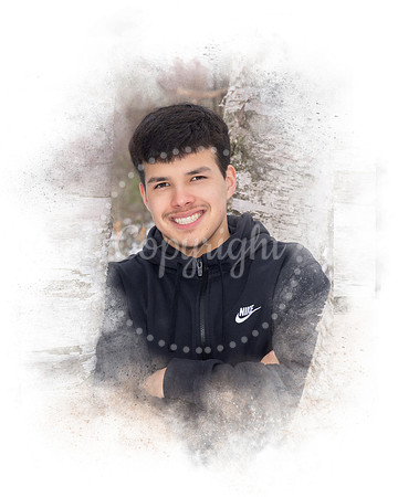 Ryan11_ppARTSY