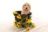 8Y2A0387Marlee