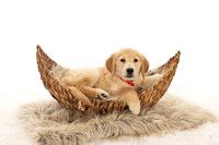 8Y2A0388Marlee