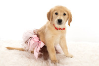 8Y2A0391Marlee
