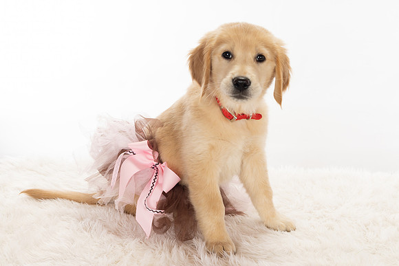 8Y2A0391Marlee