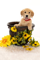 8Y2A0386Marlee