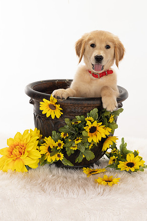 8Y2A0386Marlee