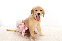 8Y2A0392Marlee