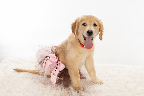 8Y2A0392Marlee