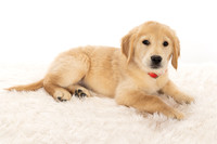 8Y2A0395Marlee