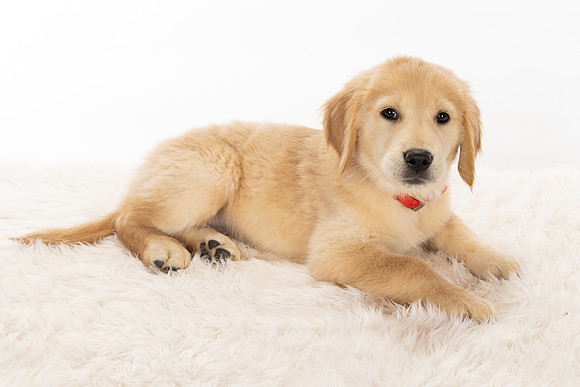 8Y2A0395Marlee