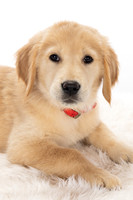 8Y2A0396Marlee