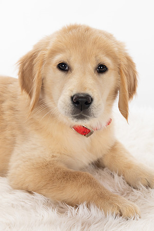 8Y2A0396Marlee
