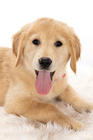 8Y2A0397Marlee