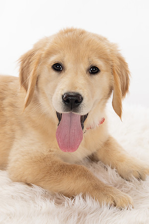 8Y2A0397Marlee