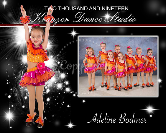 Bodmer poster2