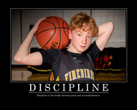 Erickson Discipline