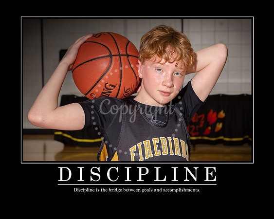 Erickson Discipline